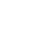 Experience